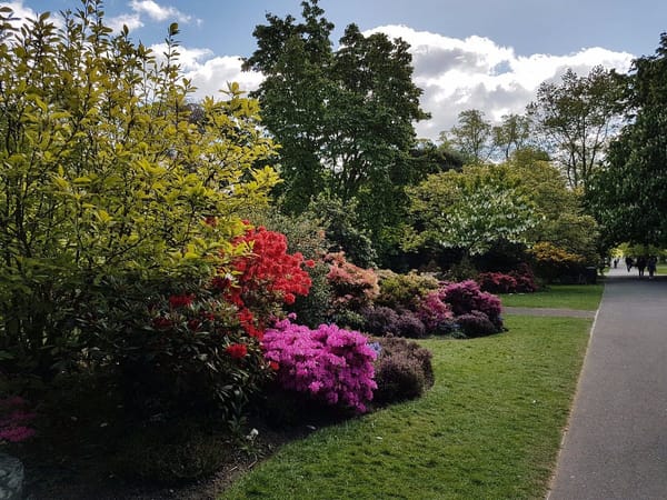 Palmerston Park