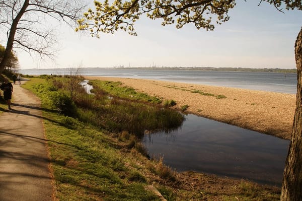 Weston Shore