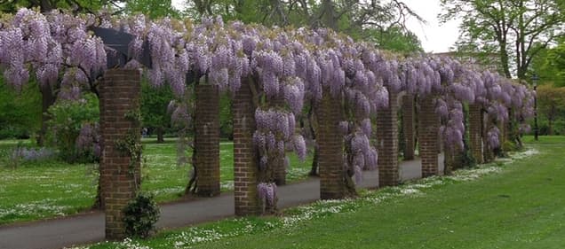 East Park (Andrews Park)